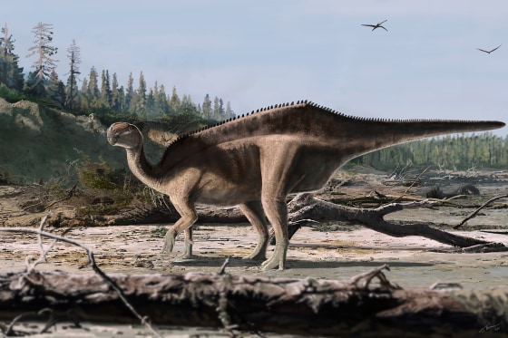 An artist’s impression of the Istiorachis macarthurae dinosaur.