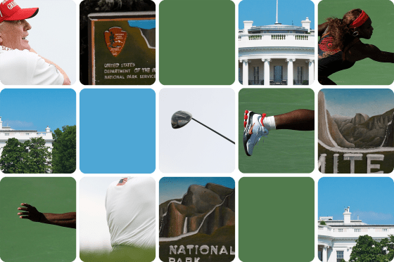 Grid of obscured images
