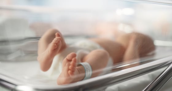 A newborn baby
