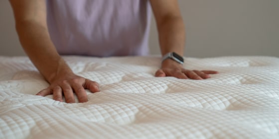 The most common ways to pick up bed bugs is through travelling or bringing second-hand furniture into your home. 