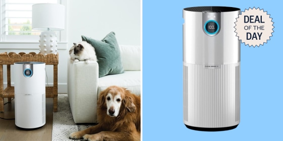 The Shark Air Purifier comes in white or black