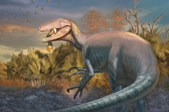 Clawed Dinosaur Joaquinraptor casali