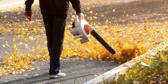 The most common types of leaf blowers are handheld battery-powered, corded electric and gas-powered units.
