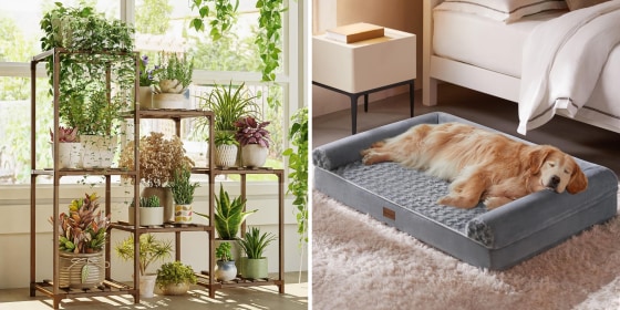 Savvy shoppers can find discounts on kitchen essentials, beauty accessories, home improvement tools and more.