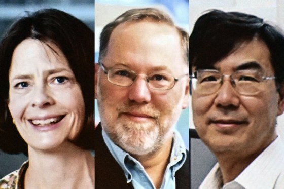 Mary E. Brunkow, Fred Ramsdell and Shimon Sakaguchi.