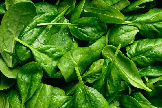 FreshRealm notified the USDA's Food Safety and Inspection Service that the quick-frozen spinach used in the products tested positive for listeria. 