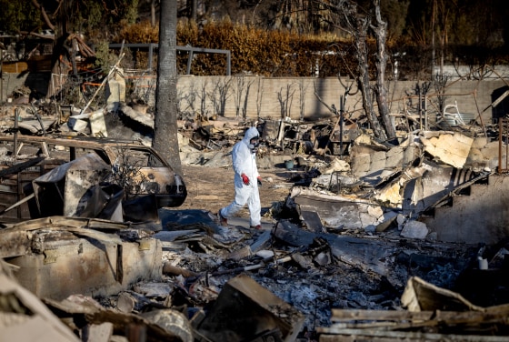 Eaton fire victims return to their burned out homes in Altadena