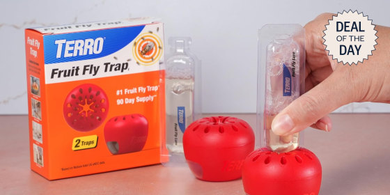 Once inside, fruit flies cannot escape this trap.