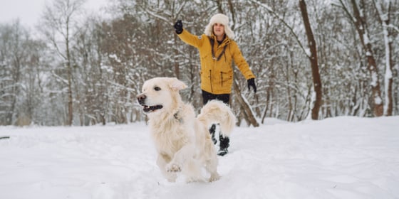 Once temperatures drop to about 32 degrees Fahrenheit, it’s time to limit dogs’ time outside, regardless of their size or coat.