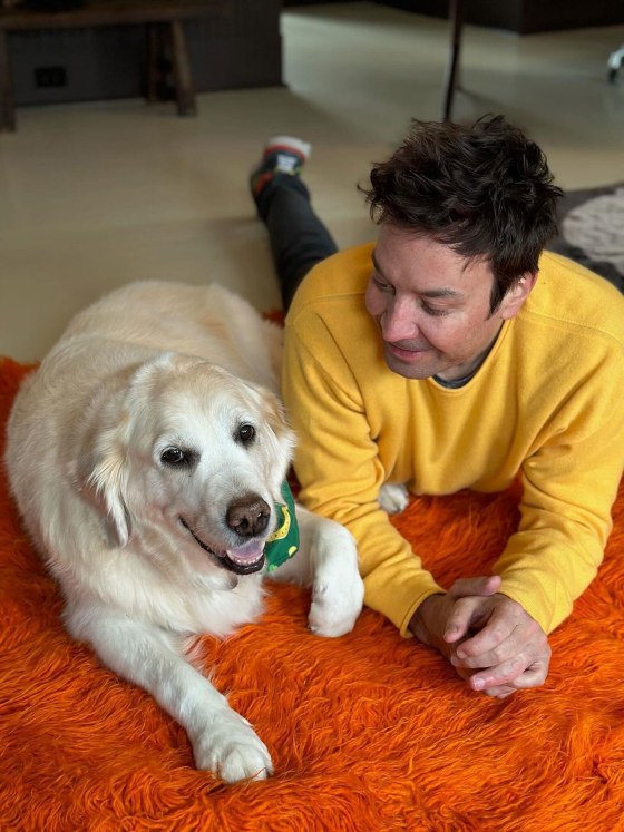 Jimmy Fallon's Dog, Gary, Dies