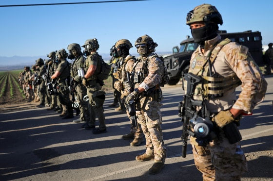 U.S. federal agents and immigration officers raid an agricultural facility in Camarillo