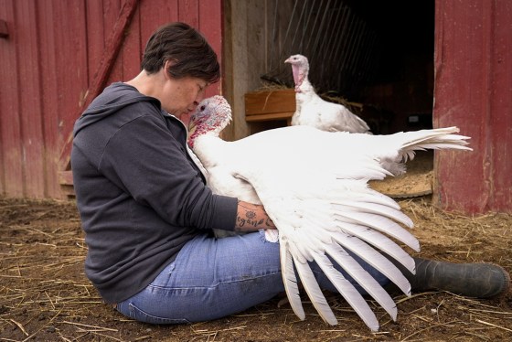A person hugs a turkey.