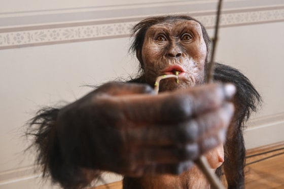 "Lucy's skeletal remains will be displayed in Europe for the first time ever," Prime Minister Petr Fiala told reporters as he announced the rare loan by Ethiopia's National Museum.