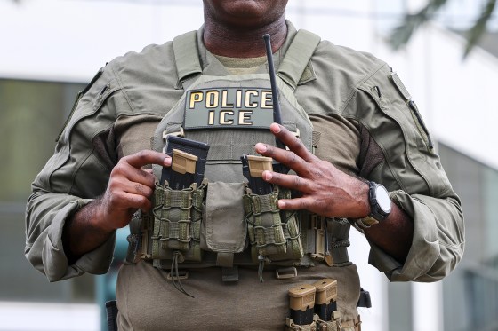 U.S. Immigration and Customs Enforcement's personnel