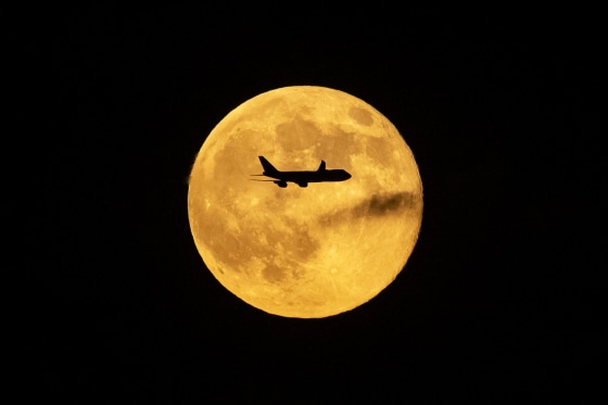 A plane passes in front of the "Beaver supermoon" on Nov. 5, 2025 over Louisville, Ky.