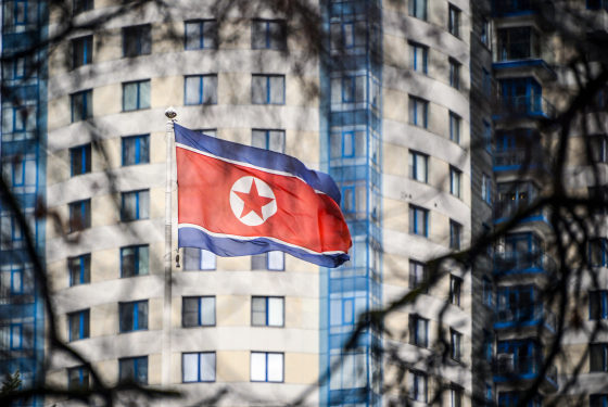 A North Korean flag flies in front of a building outside, image framed by tree branches