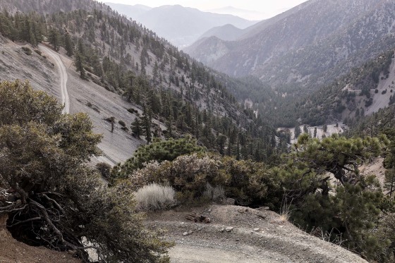 Trails on Mount Baldy.