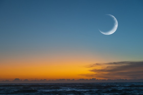 New moon or Ð¡rescent above ocean. Half Moon on bright evening sky, space for text