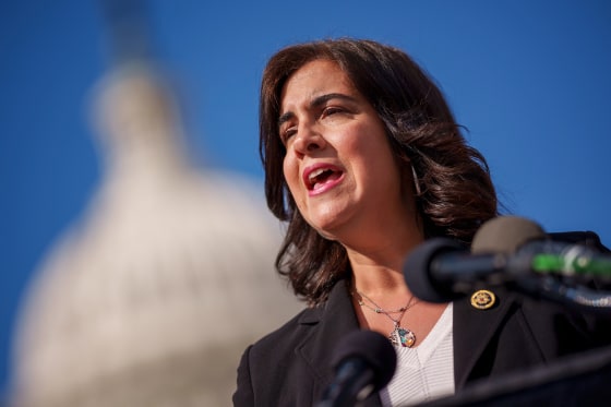 Department Of Government Efficiency Caucus Holds News Conference For "DOGE Day"