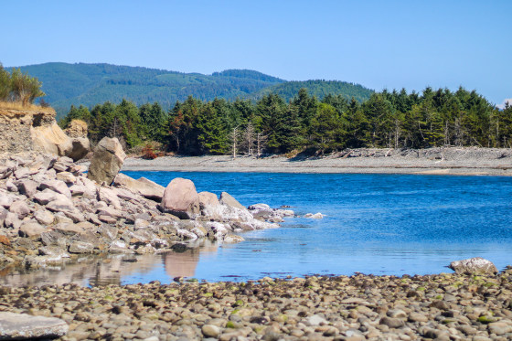 Skeletal remains that washed up on Washington beach identified as Oregon mayor who vanished 20 years ago - 
                    1. Resim