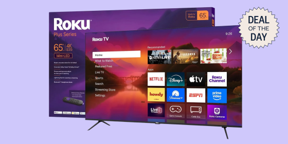Roku is one of the easiest smart TV interfaces to use, in my experience.
