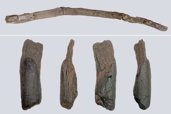 A 430,000-year-old wooden tool from Greece, top, that may have been used for digging and various angles of the tool, below.