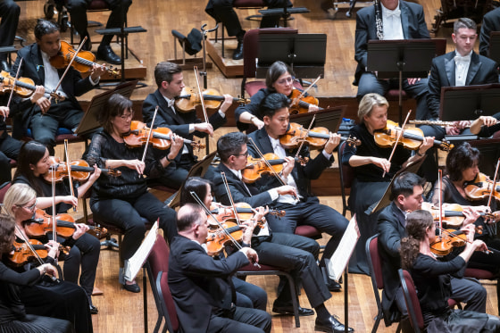 The National Symphony Orchestra