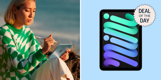 The iPad Mini, like the iPad Air, comes in four colors.