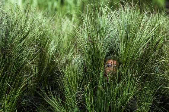 Super Bowl LX Seattle Seahawks vs. New England Patriots