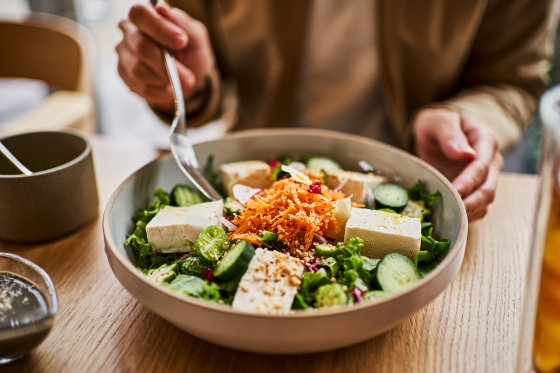 An Organic tofu salad plate