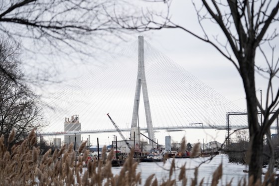 A tall suspension bridge over a river is partially obscured by foliage in the foreground.