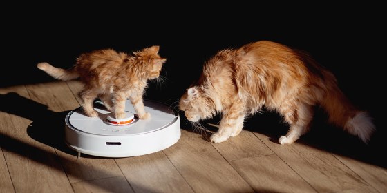 Experts say the best vacuums for pet hair have anti-tangle brush heads and rotating brush rolls and they also come with included attachments.