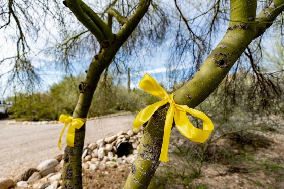 Two yellow ribbons are tied around neighboring trees along a gravel road in a desert landscape.