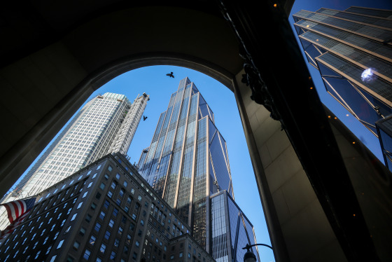 Birds fly past skyscrapers seen from a street-level view. 