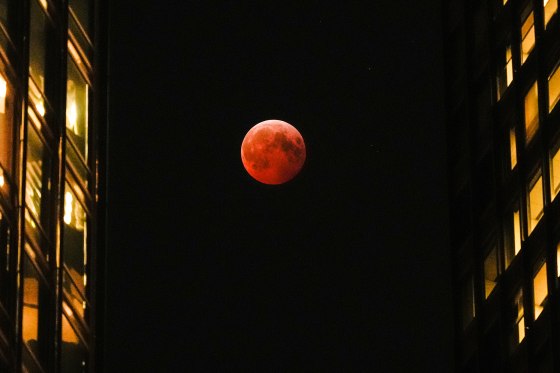 Lunar Eclipse-  Blood Moon