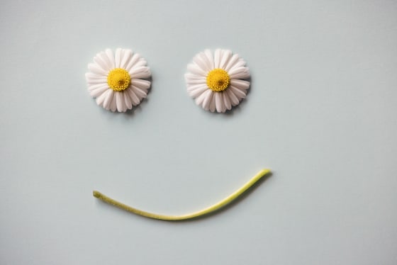 Laughter is bound to be in full bloom with this collection of funny spring jokes.