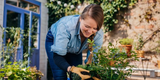 Using raised garden beds is often easier than in-ground gardening, especially for beginners, experts say.

