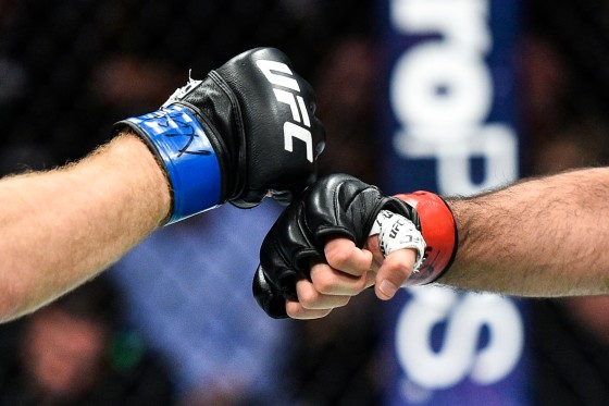 Close up of two fighting gloves touching