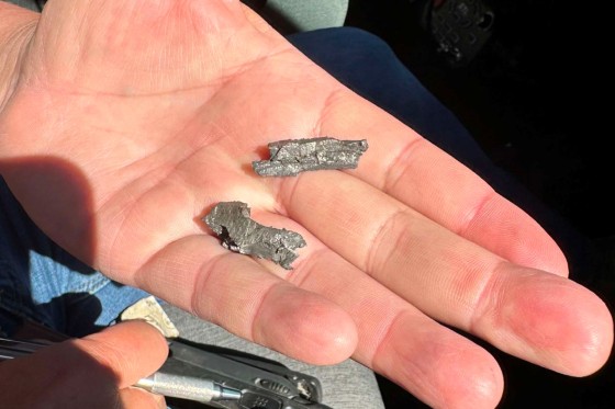 Marines Celebration Investigation