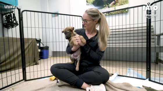 Kylie Kelce adopts a new puppy.
