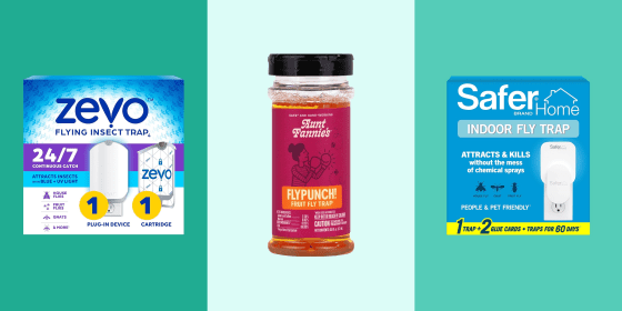 You can use natural ingredients like apple cider vinegar or plug-in fly traps to rid your home of flies, mosquitoes and other pests.