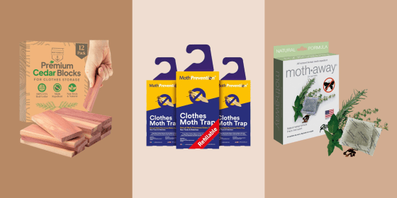 It’s easy to get rid of moths with at-home treatments and products, according to experts.