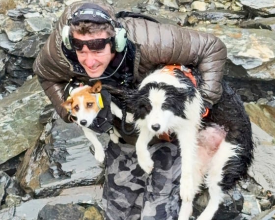 New Zealand Dog Rescue