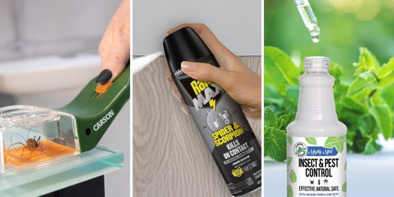 Spiders tend to be drawn to dusty, messy areas or places they can find other insects to feed on.