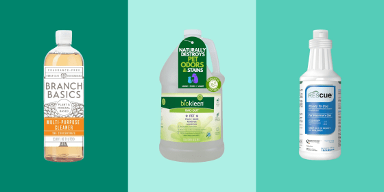 Pet-safe floor cleaners should be free of toxic chemicals and harsh smells.