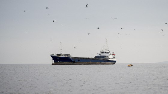 Seagulls surround a large vessel in the open water