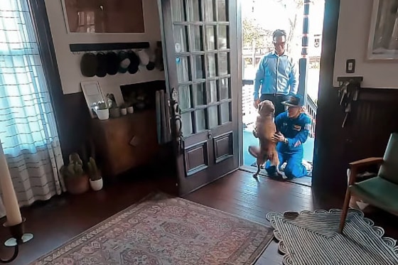 NASA astronaut Christina Koch reunites with her dog, Sadie.