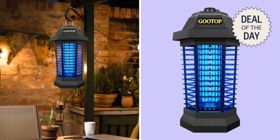The bug zapper has a blue light to attract insects before zapping them.