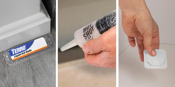 The most effective ant eliminators don’t kill the pest on the spot, they stick to the ant so they can bring poison back to the larger colony. 
