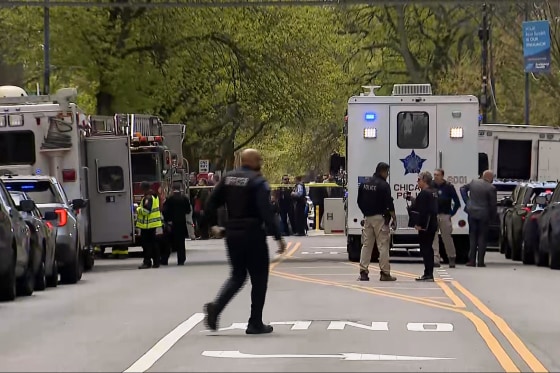 Police officers and law enforcement vehicles in the middle of a tree-lined street.